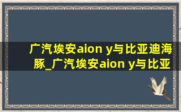 广汽埃安aion y与比亚迪海豚_广汽埃安aion y与比亚迪e2